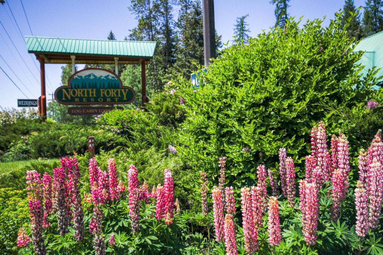 North Forty Resort Columbia Falls Luaran gambar
